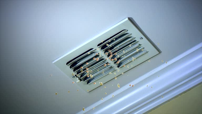 Best Commercial HVAC Duct Cleaning  in Rancho Viejo, TX